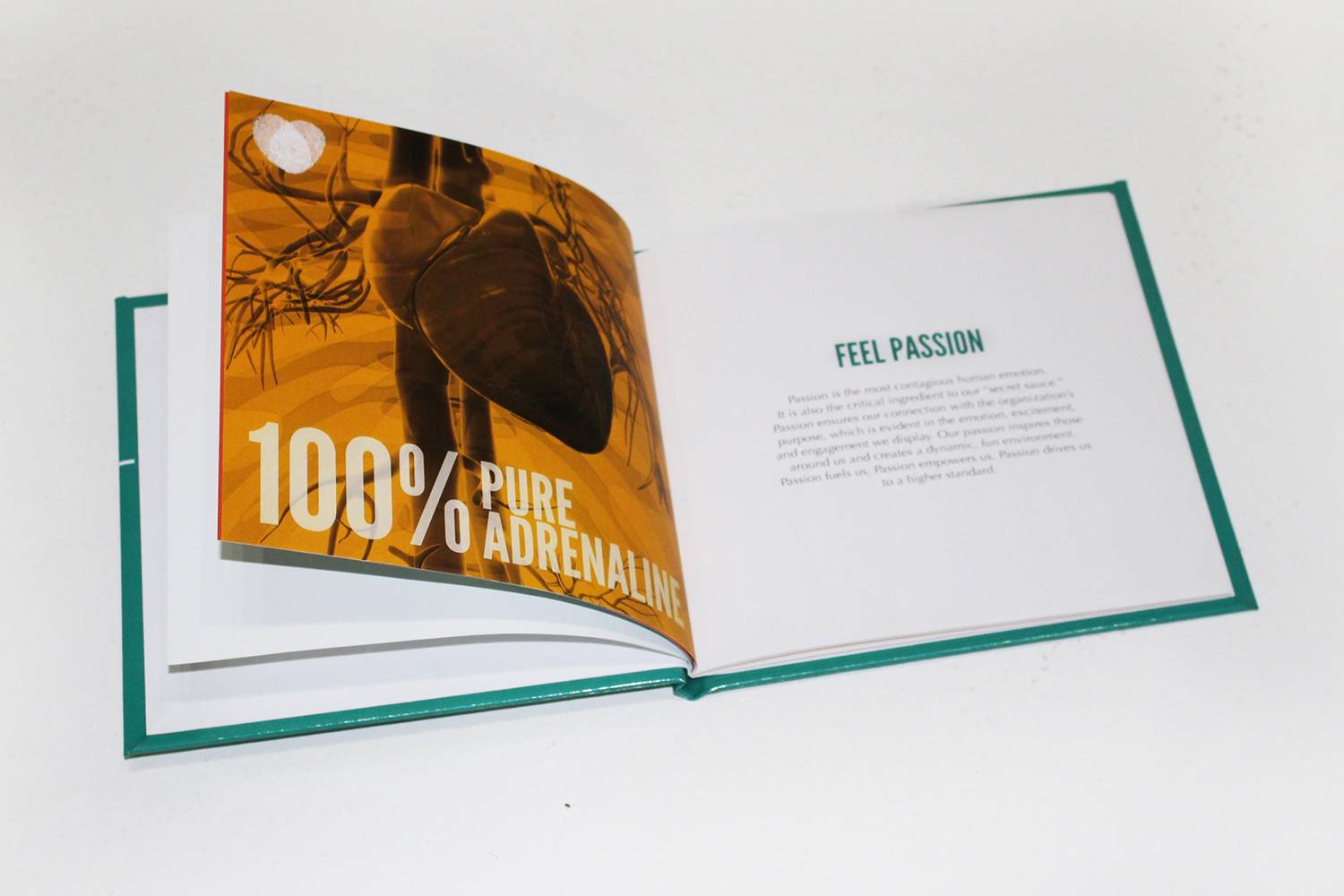 The 2015 AAF Awards Gala—J.O. Brings Home the ADDY