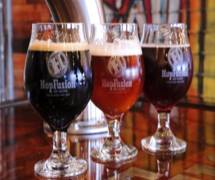 HopFusion Ale Works