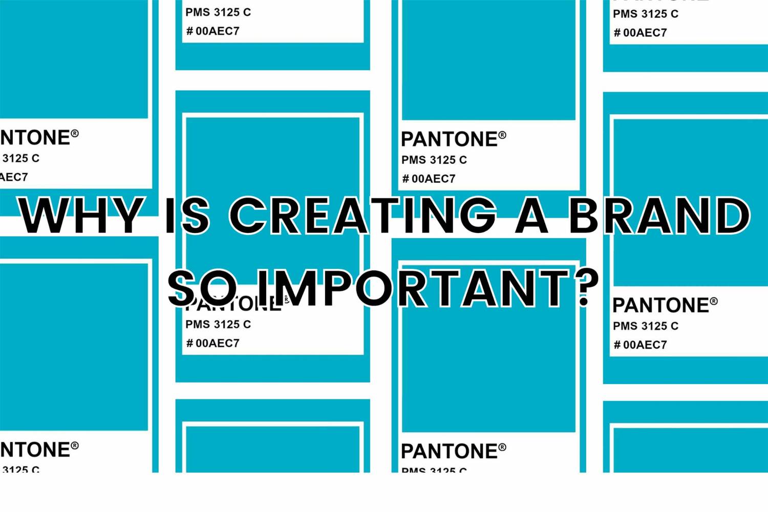 Why is Creating a Brand so Important