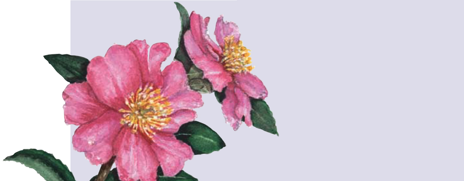 Brit-Flower-Exerpt