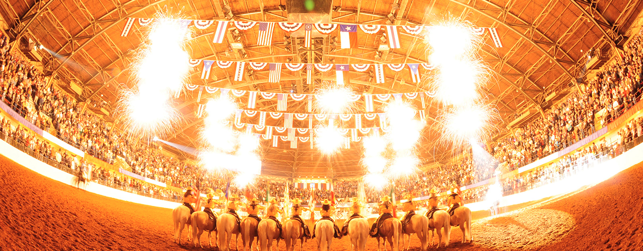 Sparkles-Horses-Texas-Stock-Show-And-Rodeo