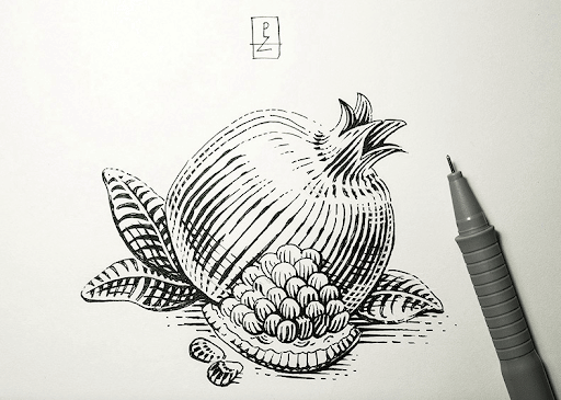 sketch-style illustrations